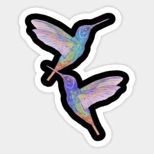 two hummingbirds Sticker